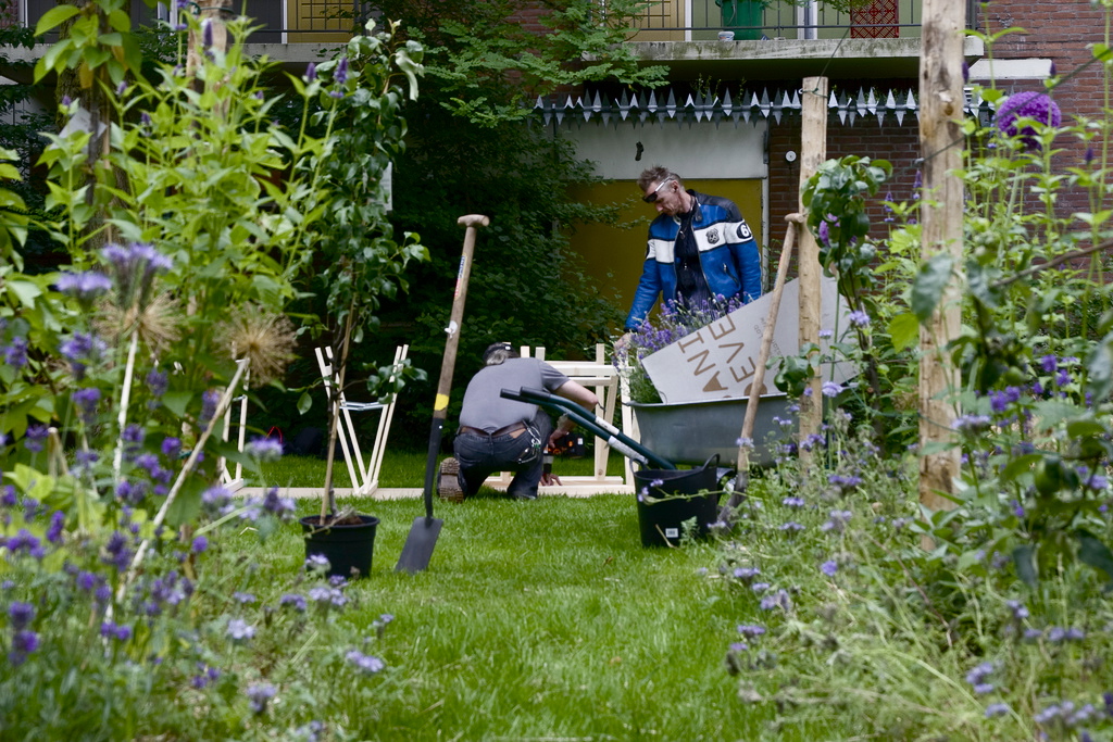 Leifruit Boomgaarden – 1 van de 4 beplantingstypologieën na 1 jaar Foodscape Schilderswijk