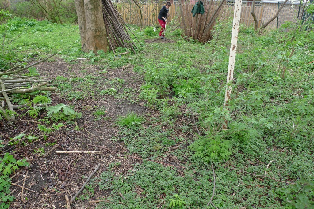 Weeding for Daredevils