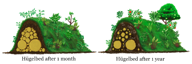 hugelbedden1m-1y.jpg