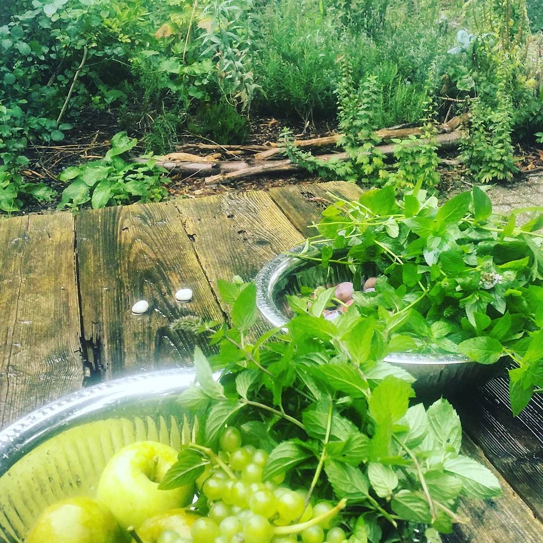 #harvest time :)